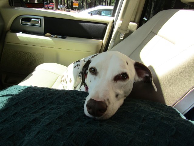 Riley 
